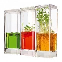 Unterhaltsame, lustige und lehrreiche Geschenke für Familien