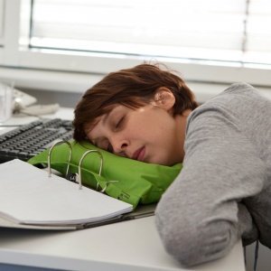 Büroschlaf - Für das Nickerchen zwischen den Akten