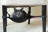 Cat Crib - Katzenhängematte