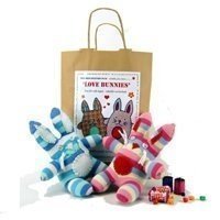Create and Sew Your Own Love Bunnies Craft Kit