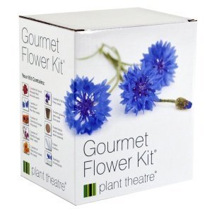 Gourmetblumen-Kit von Plant Theatre - 6 Essbare Blumenarten