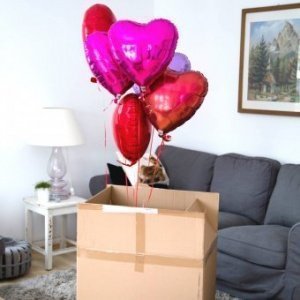Heliumbefüllte Herzballons im Karton 6er Set