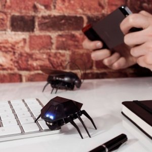 iRobot Bug  ferngesteuerter Käfer