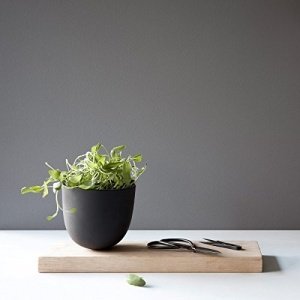 Menu Blumentopf Grow Pot