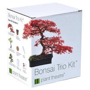Plant Theatre Bonsai-Trio Kit