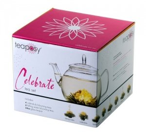 Teeblumen-Geschenkset "Celebrate" (Zauber in der Tee-Kanne) mit Glas-Teekrug 700ml und 8 hochwertigs