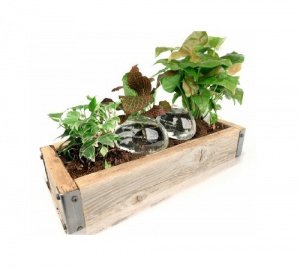 Water From a Stone - House Plants Easy Irrigation Kit