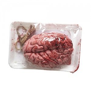 Gehirn in Verpackung