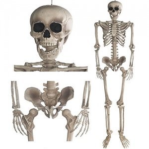 Deko Skelett 160 cm