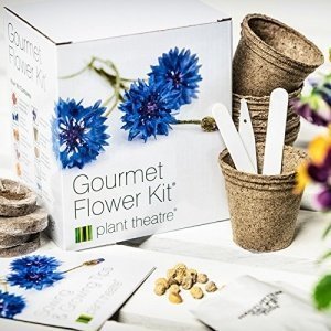 Gourmetblumen-Kit von Plant Theatre - 6 Essbare Blumenarten