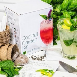 Plant Theatre Cocktailgarten-Kit