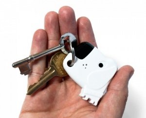 Suck UK Fetch My Keys Schlüsselanhänger