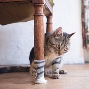 Socken für Stuhlbeine Katzen