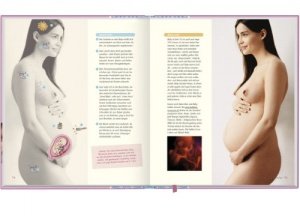 Das Mami Buch: Schwangerschaft, Geburt und die zehn Monate danach