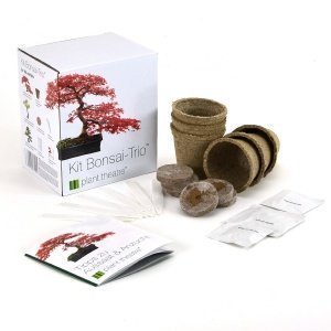 Plant Theatre Bonsai-Trio Kit