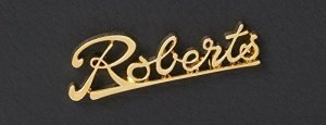 Roberts Revival iStream 2
