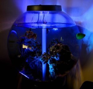 Unterwasser-Leuchte Aqua Mood Light