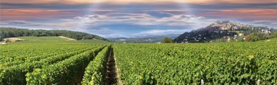 Geschenkideen Wein Wein
