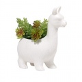Kikkerland Lama Blumentopf
