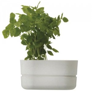 * HYDRO KRÄUTERTOPF selbstwässernder Gew