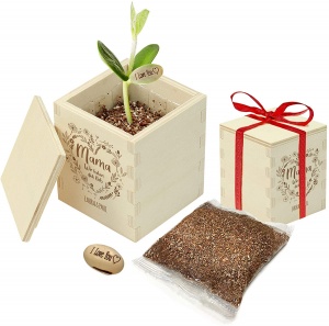  Zauberbohne für Mama