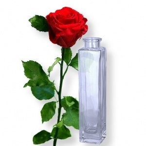 1 haltbare Rose rot