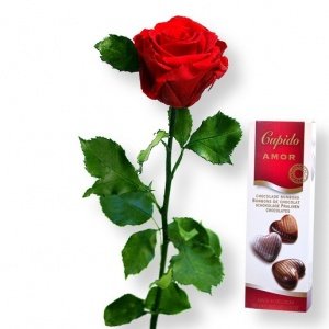 1 haltbare Rose rot und Pralinen-Herzen