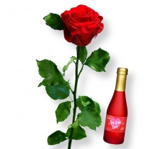 1 haltbare Rose rot und Secco Ich liebe 