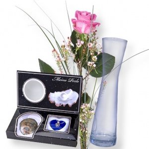 1 pinkfarbene Rose mit Vase und Meine Pe