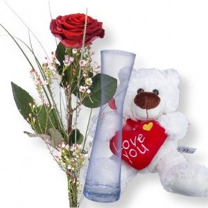 1 rote Rose und Vase und Love-Teddy