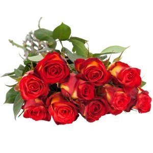10, 15 oder 20 gelb-rote Rosen im Bund