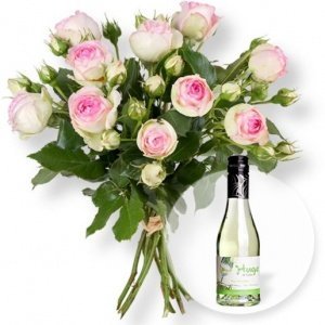 10 Sprayrosen cremepink und Hugo