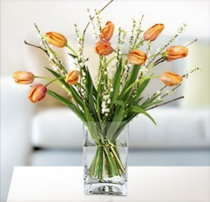 10 französische Tulpen mit Mandel