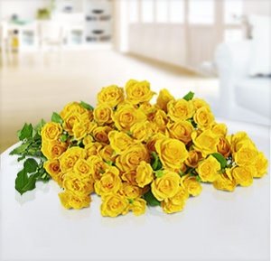 10 gelbe Sprayrosen Yellow Babe