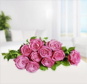 10 intensiv duftende Rosen Trendy Fragra