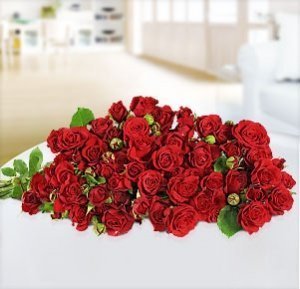 10 rote Sprayrosen Rubicon