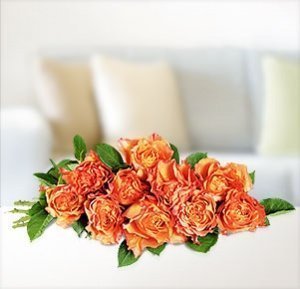 10 zart duftende Rosen Free Spirit