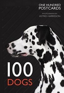 100 Dogs in a Box (Postcards)