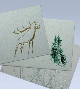 10er POSTKARTENSET  NATUR