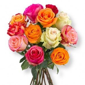 12 bunte Rosen