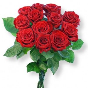 12 rote Rosen und Lafer Cappuccino-Trüff