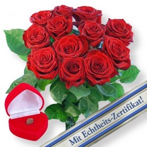 12 rote Rosen und Meine eigene Sternschn