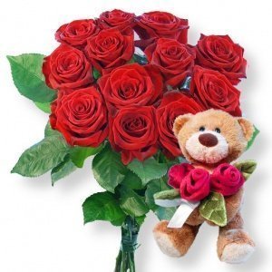 12 rote Rosen und Rosenkavalier