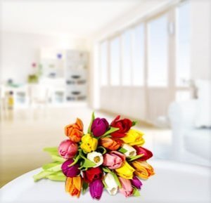 20 bunte Tulpen