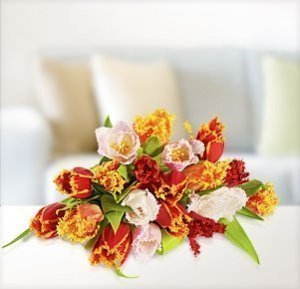 20 bunte Tulpen gefranst