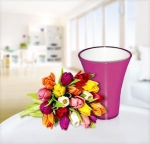 20 bunte Tulpen mit fuchsiafarbener Vase