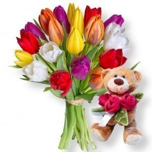 20 bunte Tulpen und Rosenkavalier