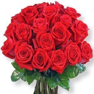20 rote Rosen