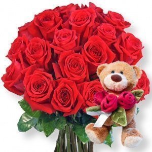 20 rote Rosen und Rosenkavalier