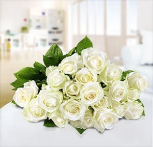 20 weiße Rosen